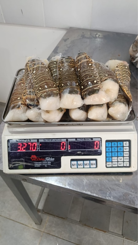 Cola 140 gr