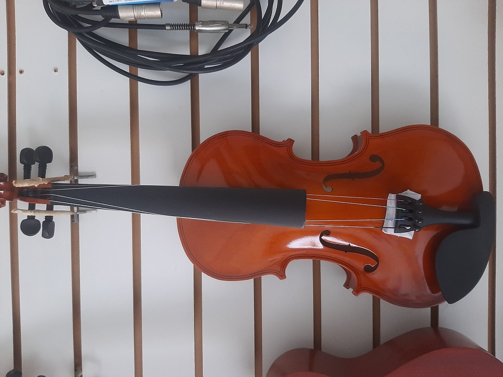 Violin