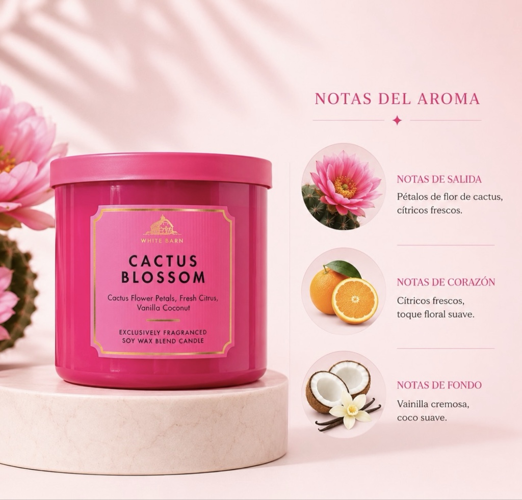 White Barn Cactus Blossom GDE vela rosa