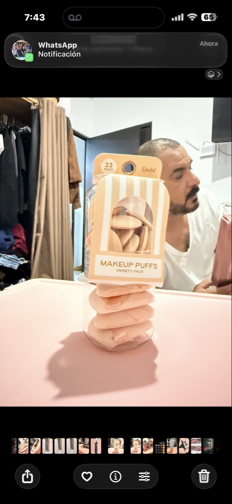 Esponjas