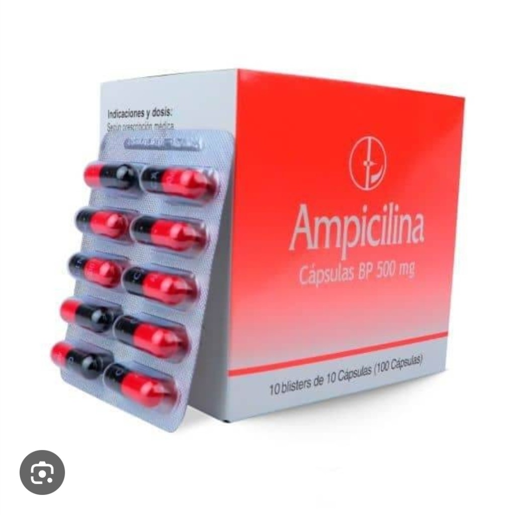 ampicilina x10 capsulas caplin