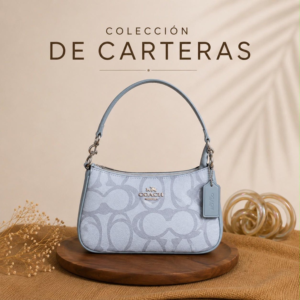 Cartera coach chica