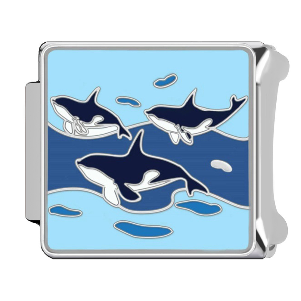 Charm Ballenas