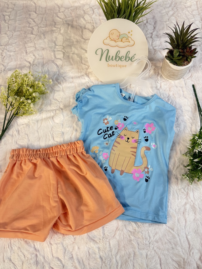 Conjunto gato