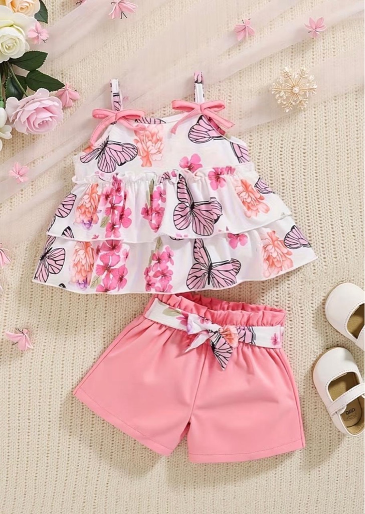 Conjunto de mariposa