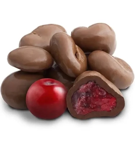Cramberry con chocolate 30gr