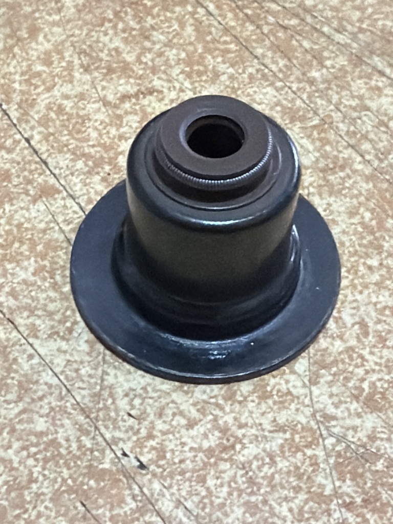 19S10C SELLO DE VÁLVULA TIPO CAMPANA