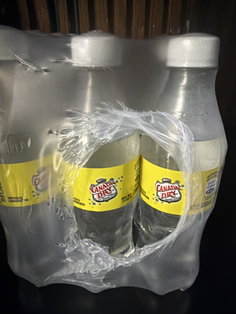 Canada Dry soda 6-pack