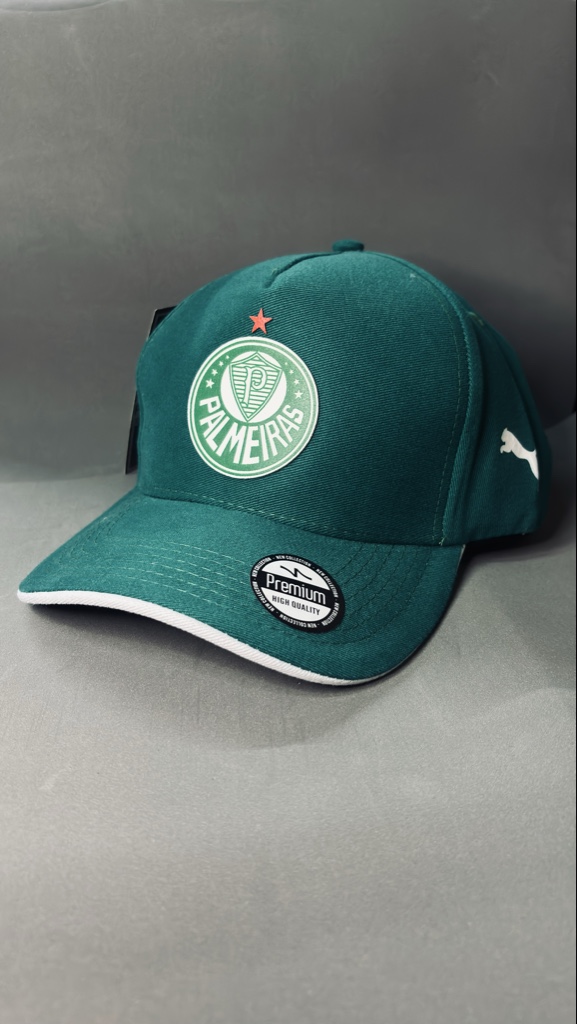 Boné Palmeiras FC