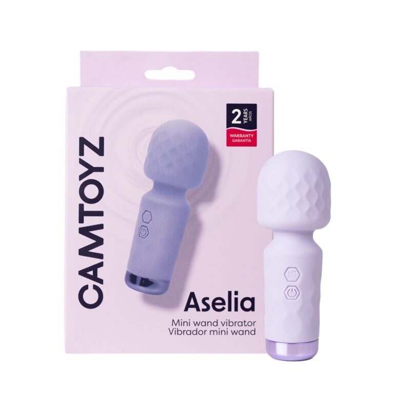 Mini Hitachi Aselia