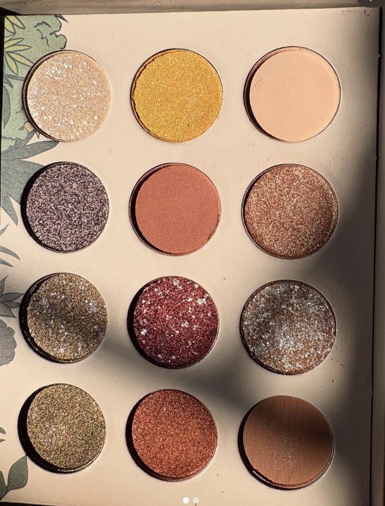 Paleta sombras 12 tonos tierra