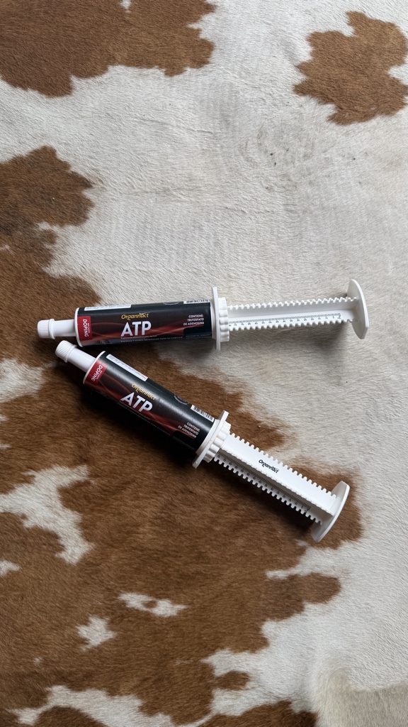 ATP gel jeringa