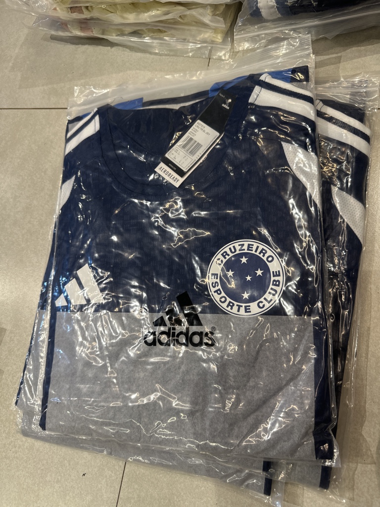 Cruzeiro treinamento
