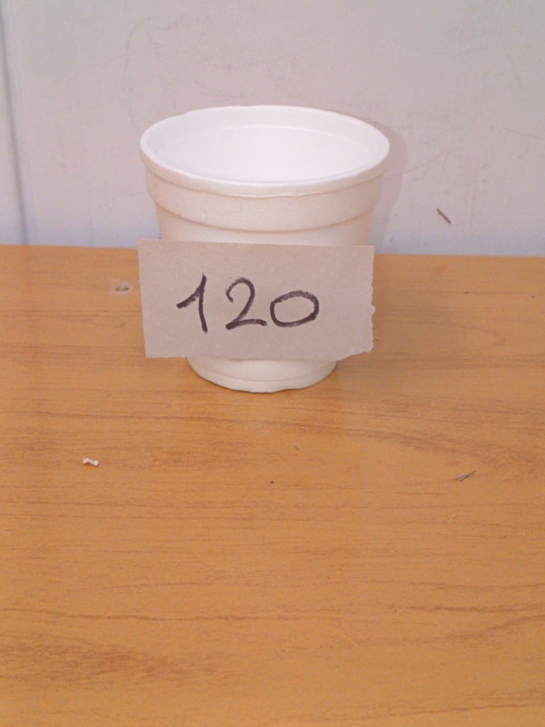 Vasos Térmicos 120 x25uds