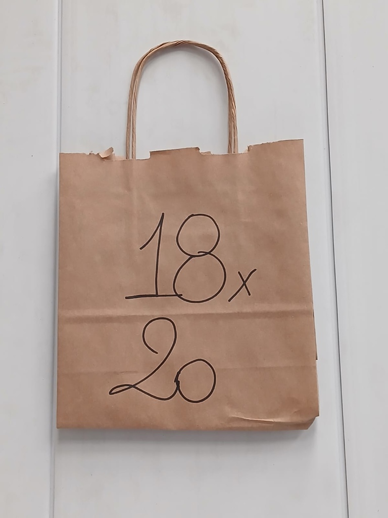 Bolsas c/Manija 18x20 x100uds