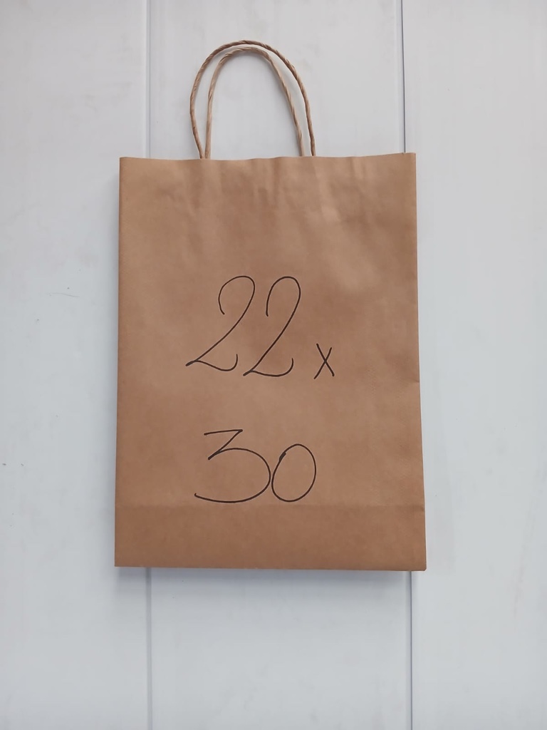 Bolsas c/Manija 22x30 x100uds