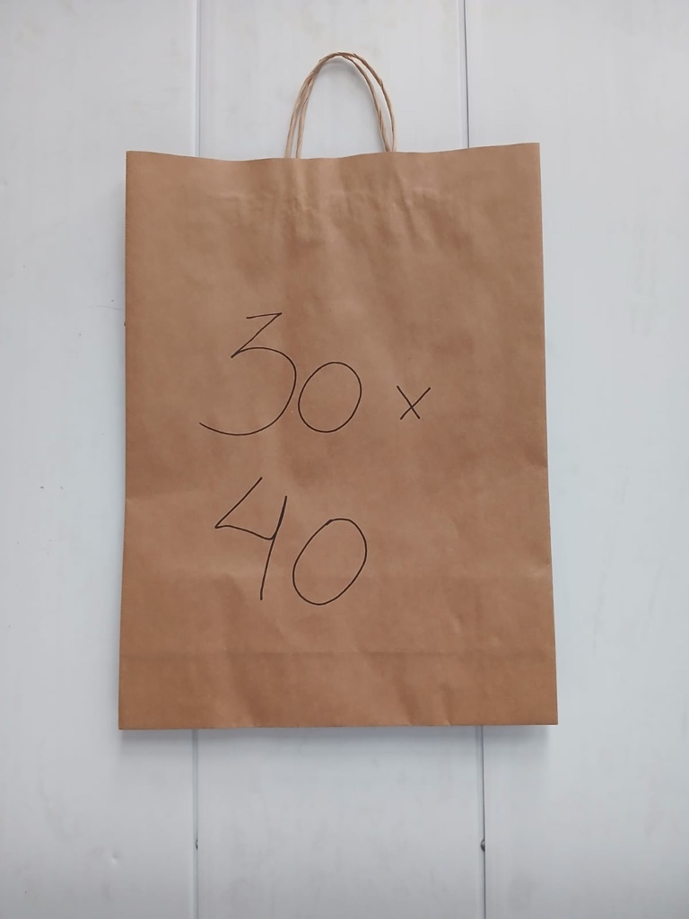 Bolsas c/Manija 30x41 x100uds