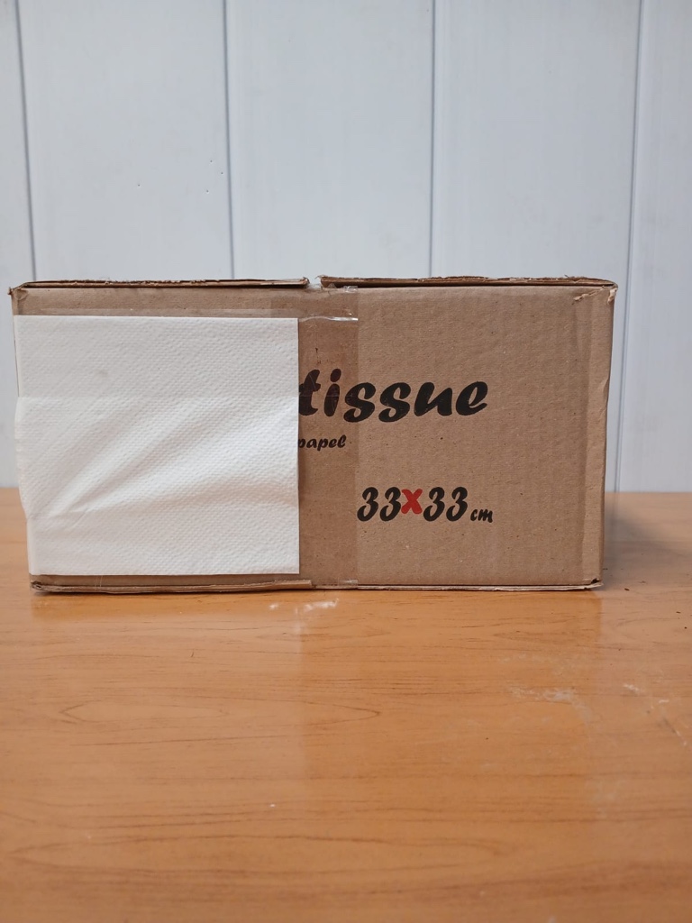 Servilleta-Tissue-33x33-x500uds