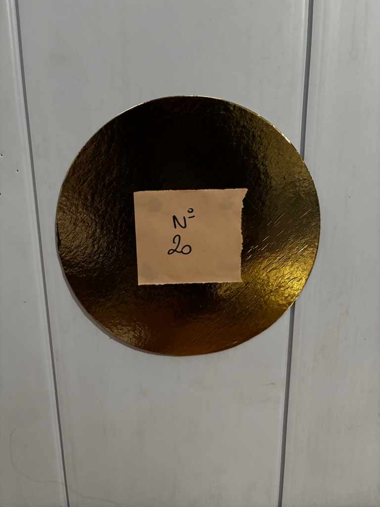 Discos Dorados 20cm x50uds