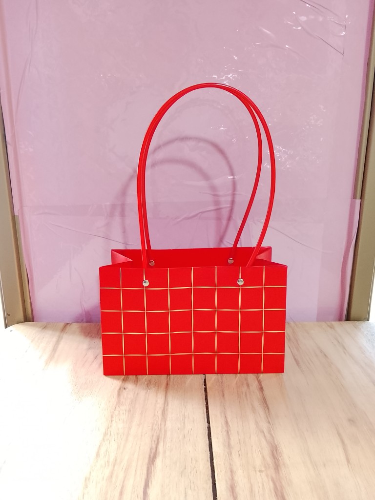 Bolsa Cartera 22x14 cm