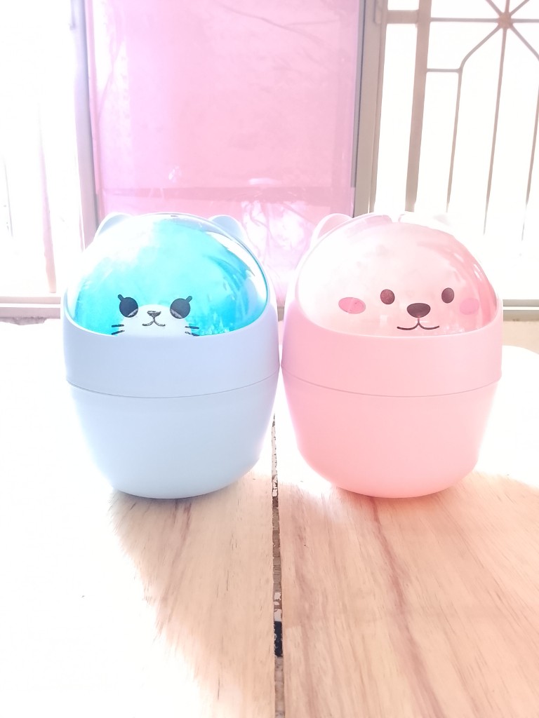 Portalapiz Gato