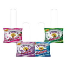Pastilla wc poblanita