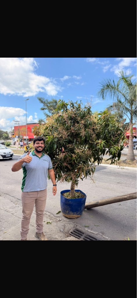 Manga pote 100 litros produzindo