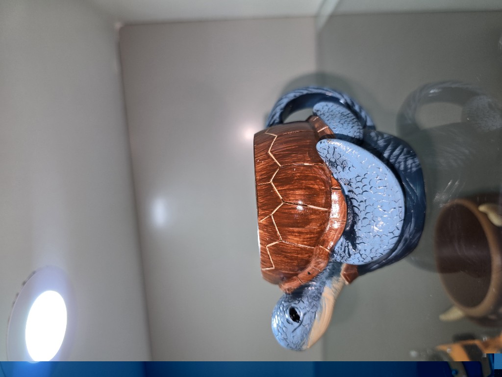 Tortuga