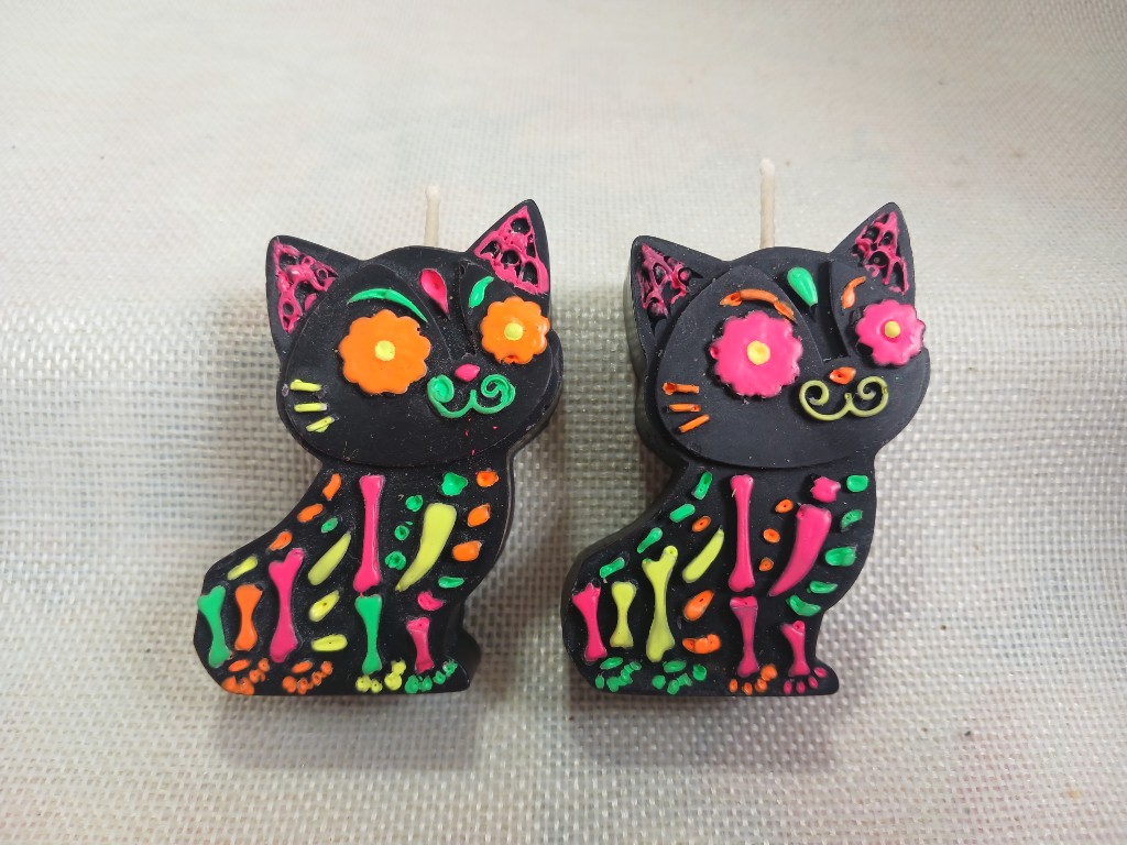 Gatito neon