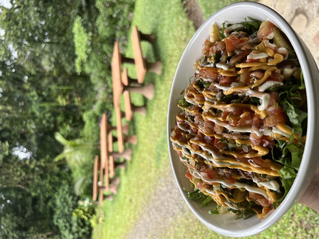 Nachos mixtos