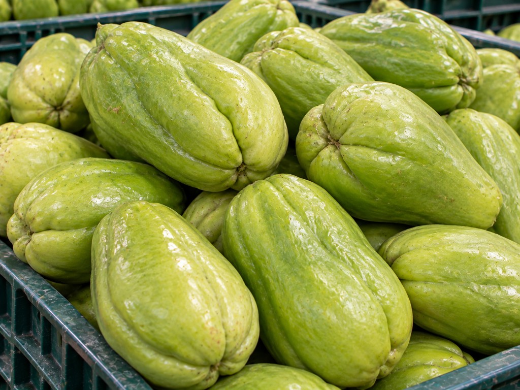Chayote fresco