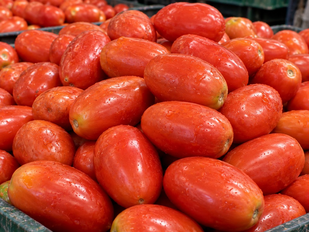 Tomate Perita fresco