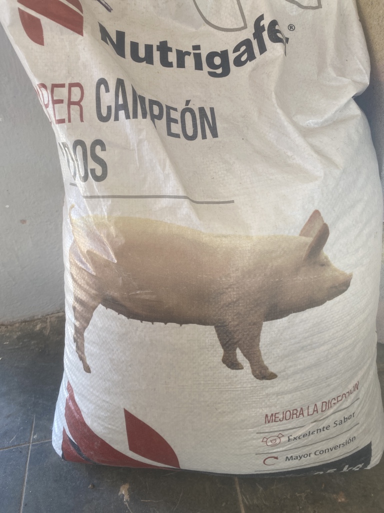 Cerdo crecimiento