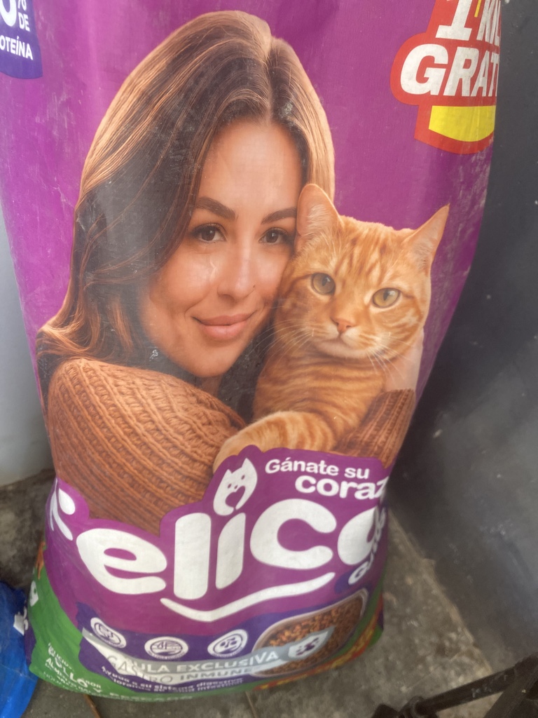 Croquetas gato