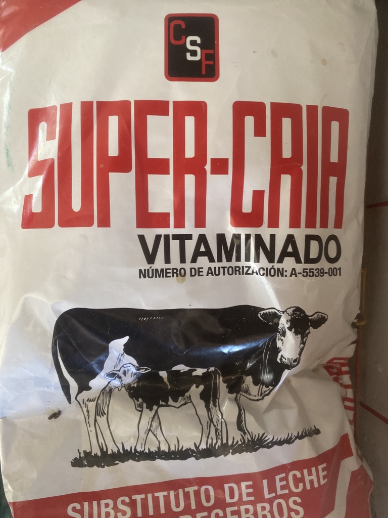 Leche en polvo