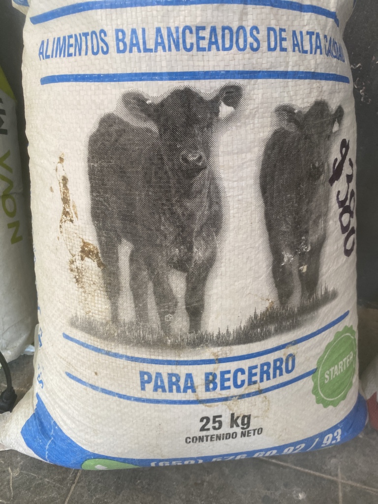 Becerro