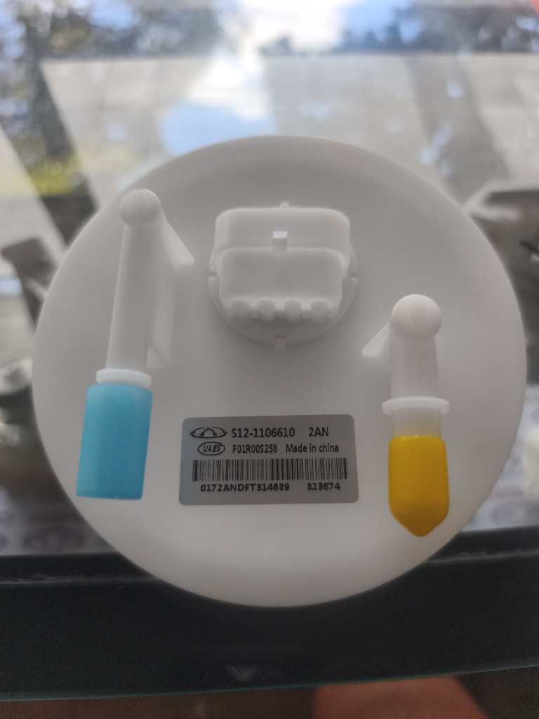 Tapa blanca bomba de gasolina, Arauca
