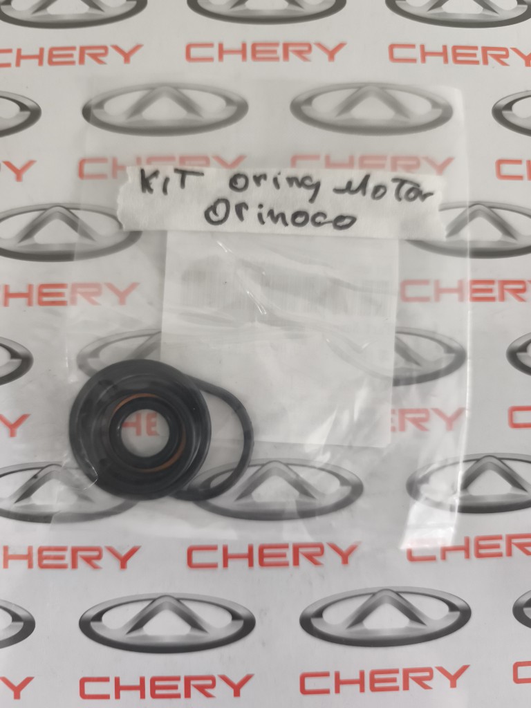 Kit oring motor