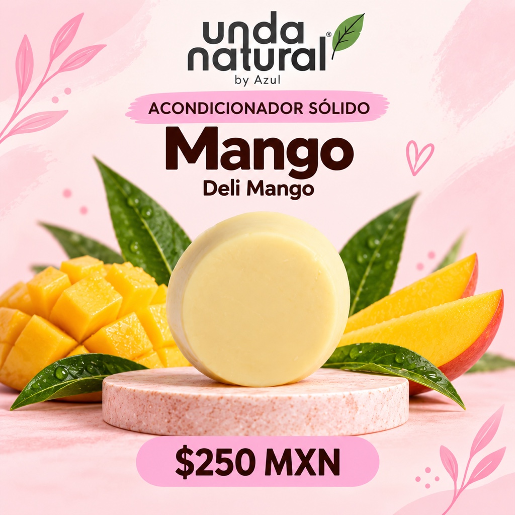 ACONDICIONADOR MANGO