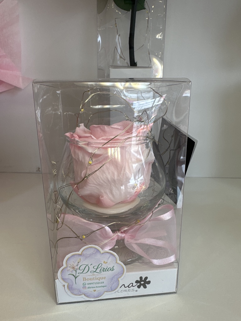Rosas preservadas