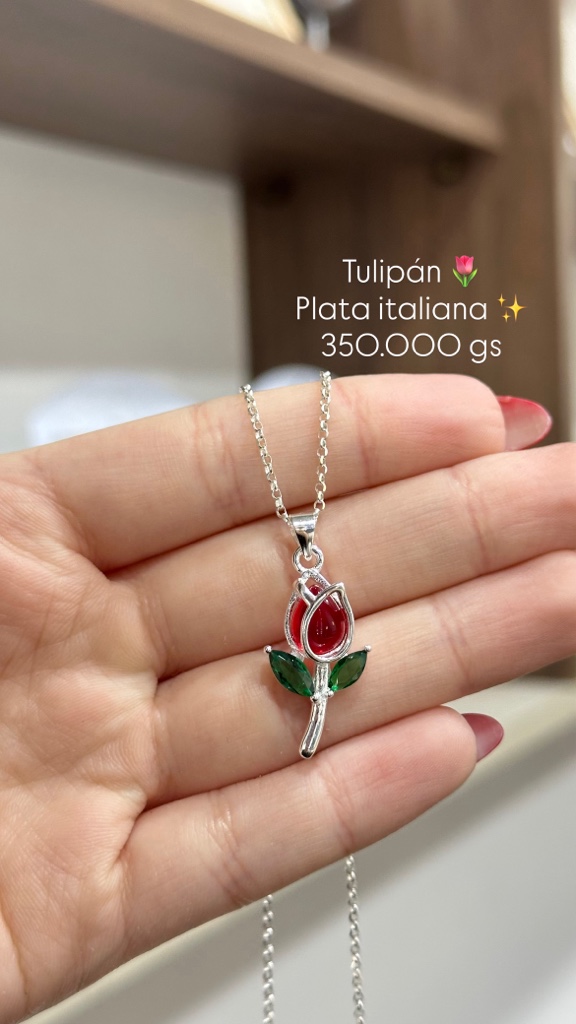 collar tulip cod8923
