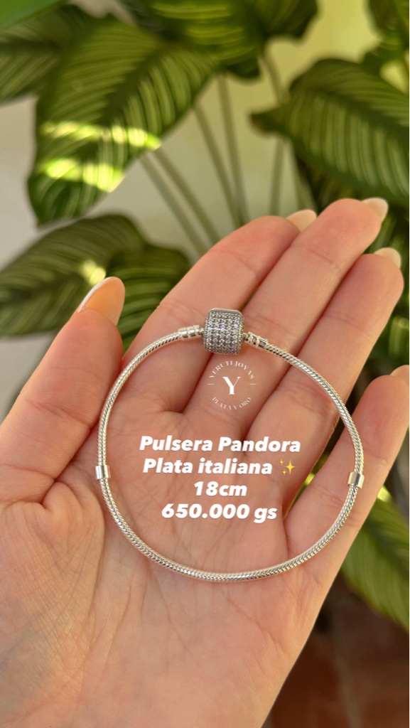 puls. pand. italiano cod1158