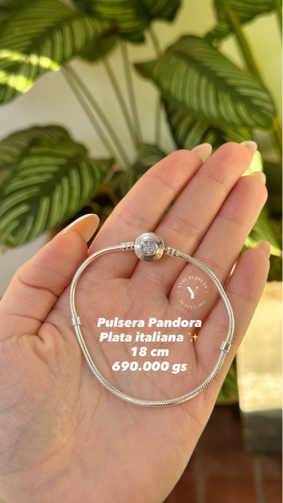 pul. pand. italiano cod3928