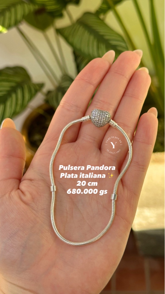 puls. pand. italiano cod 7156