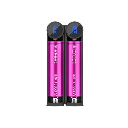 Cargador 2 bateria