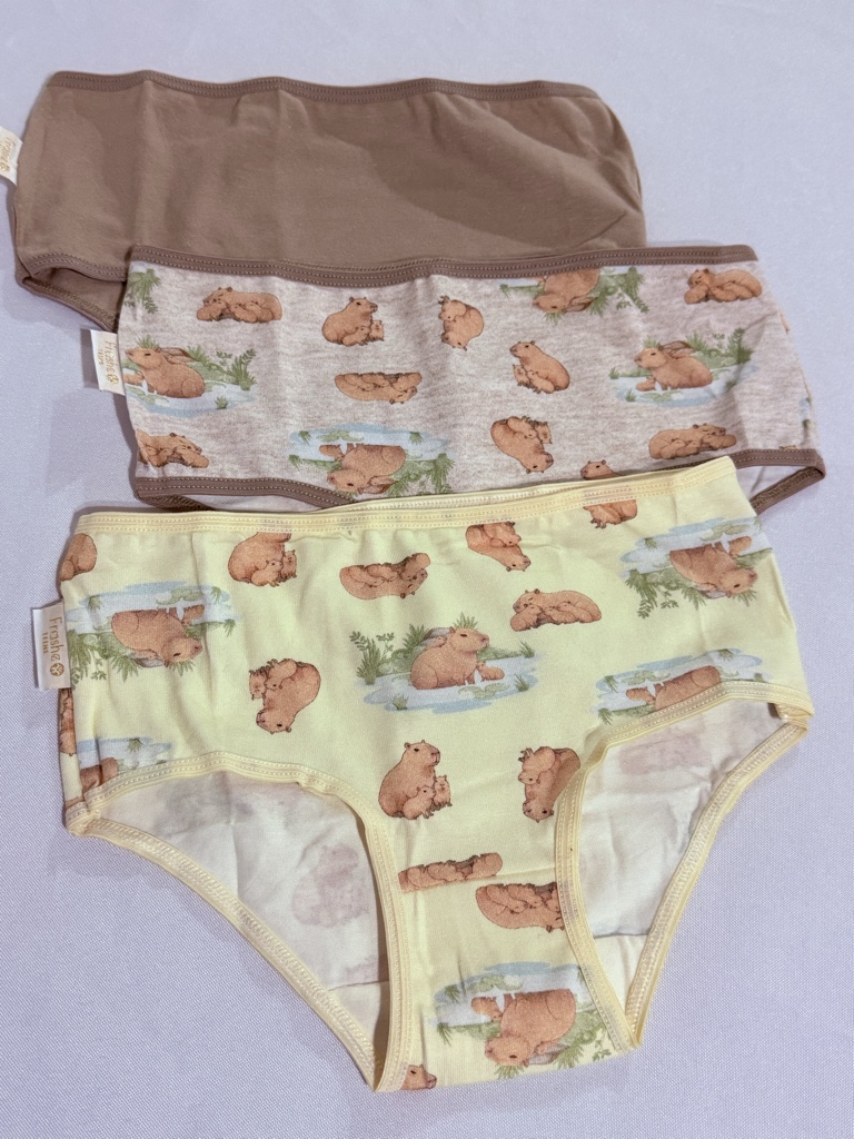 Pack x3 capibara