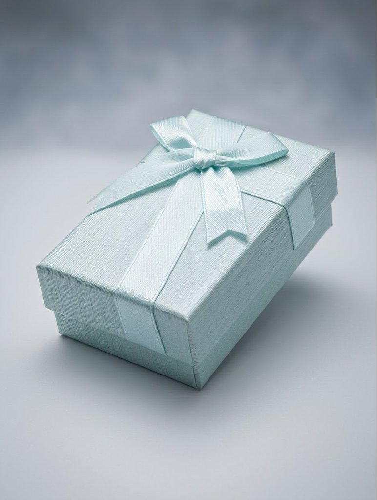 CAJA DE REGALO BISUT/LAZO P