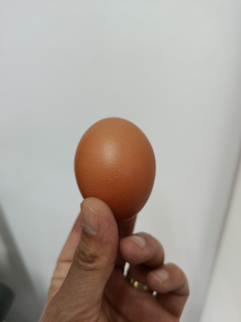 Huevos castaños por unidad