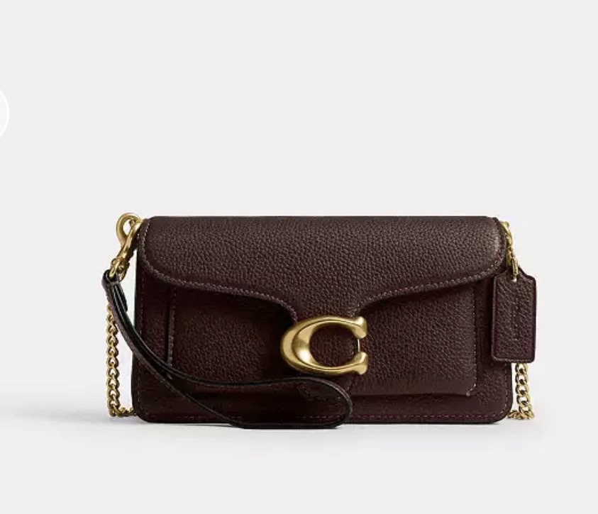 Tabby Chain Crossbody Bag 19