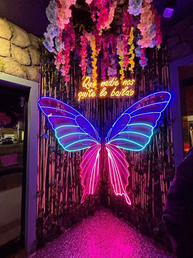 Mariposa neon multicolor